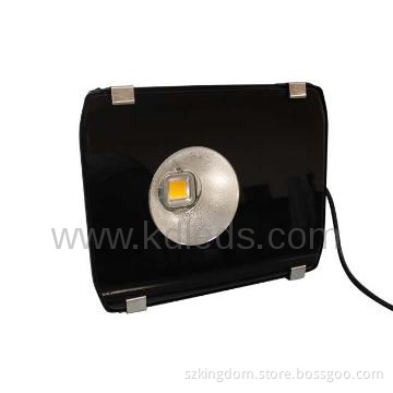 Meanwell Projector Lights LED 100W